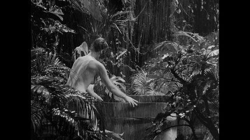 安纳塔汉 在线观看,安纳塔汉生存传奇在线观看 第1张 安纳塔汉 在线观看,安纳塔汉生存传奇在线观看 第1张